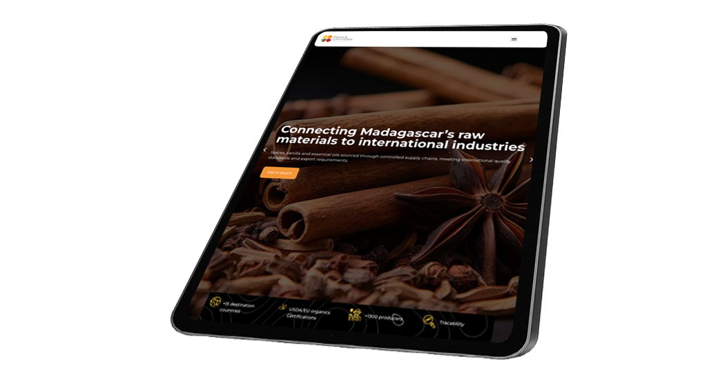 Agence web Madagascar fnc ipad pattern